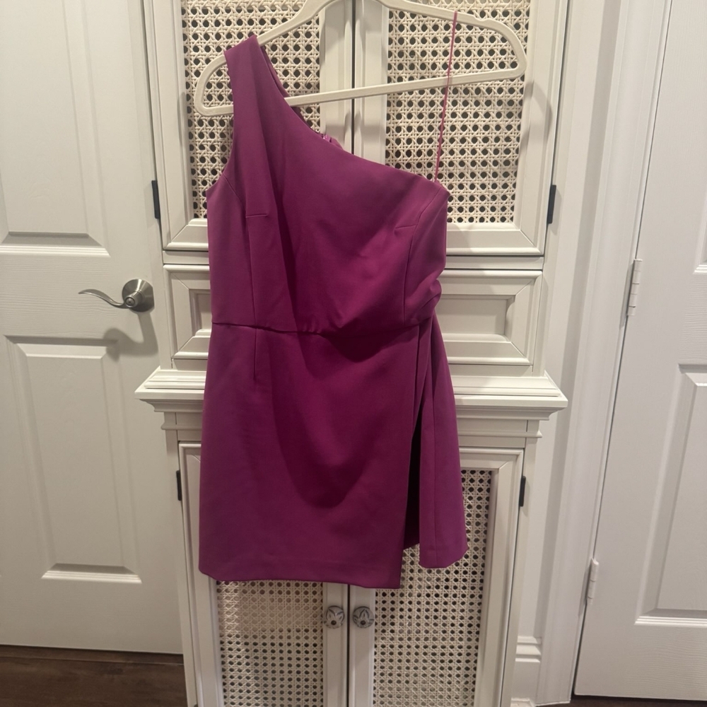 Elegant One-Shoulder Purple Dress